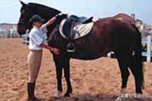 jizzjizz无码(JIZZJIZZ无码人妻)