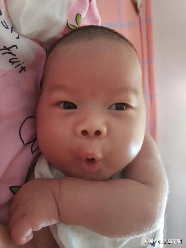 怎么办 我爱你（怎么办我爱你本兮歌词含义）